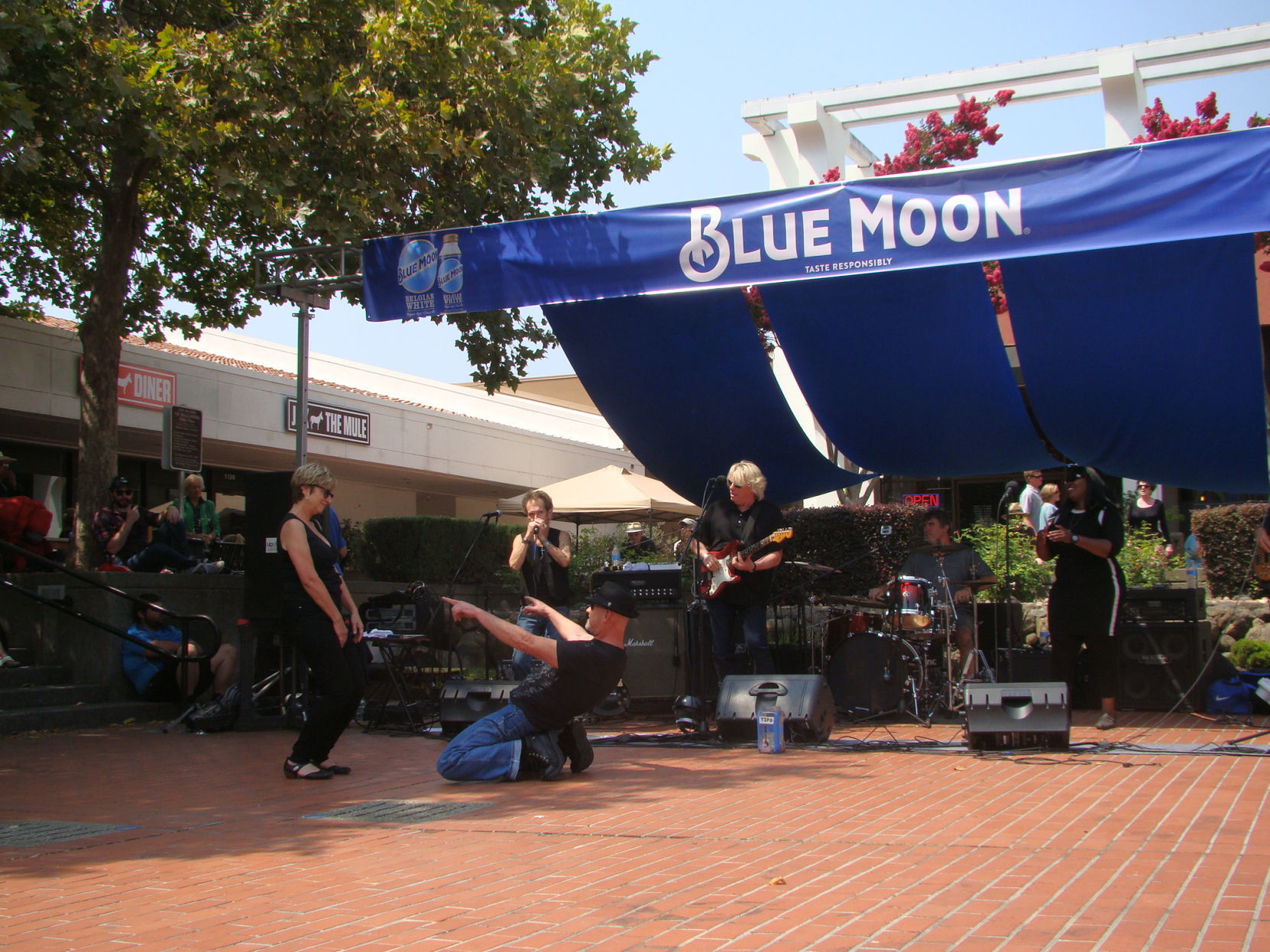 Blues, Brews & BBQ 2018